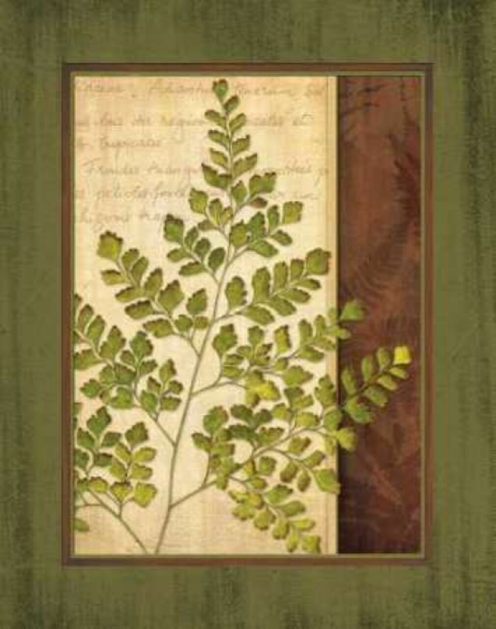 Fern Grotto IV Poster Print by Delphine Corbin - Item # VARPDXCBN029